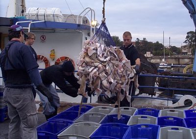 Analysis of Shark Fishery Electronic Monitoring data