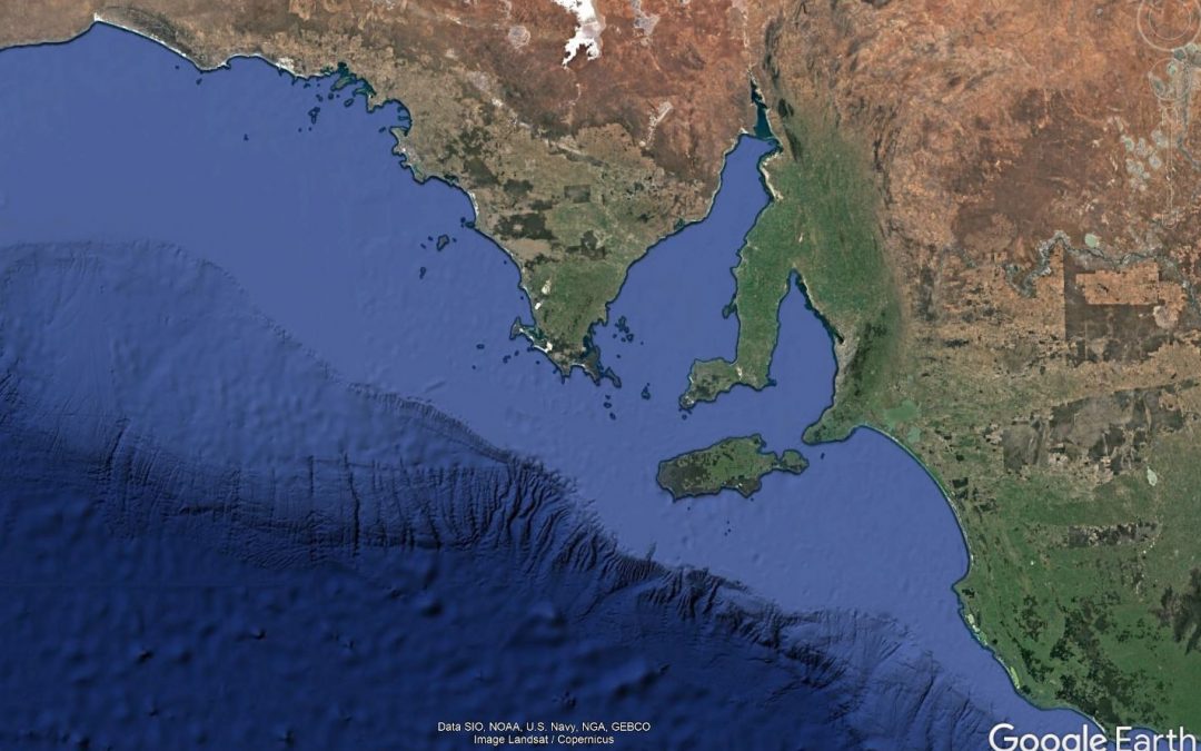 Informing Structural Reform of South Australia’s Marine Scalefish Fishery