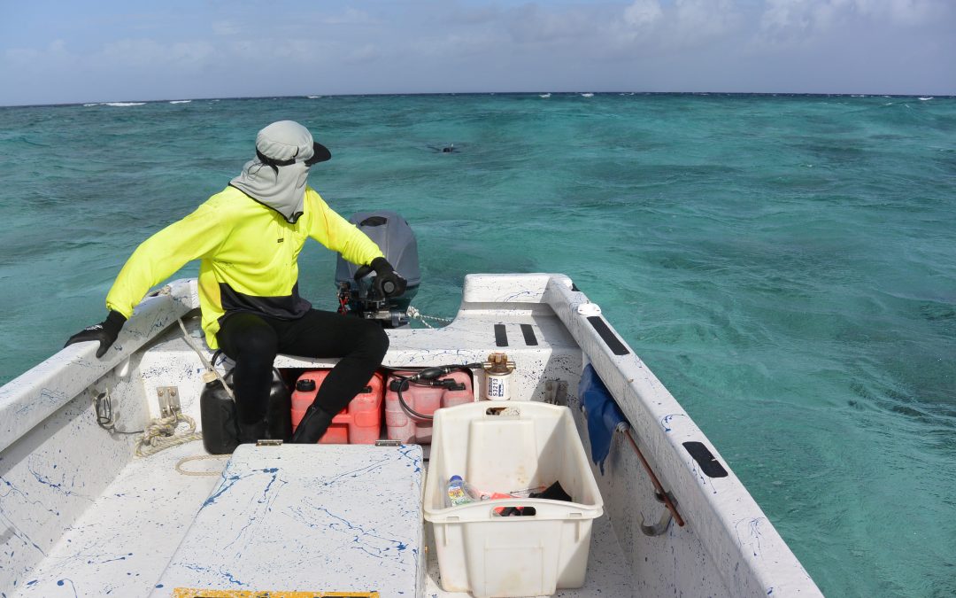 Zone 2 Biomass Survey of Black Teatfish of the Queensland Sea Cucumber Fishery (East Coast)