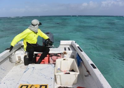 Zone 2 Biomass Survey of Black Teatfish of the Queensland Sea Cucumber Fishery (East Coast)