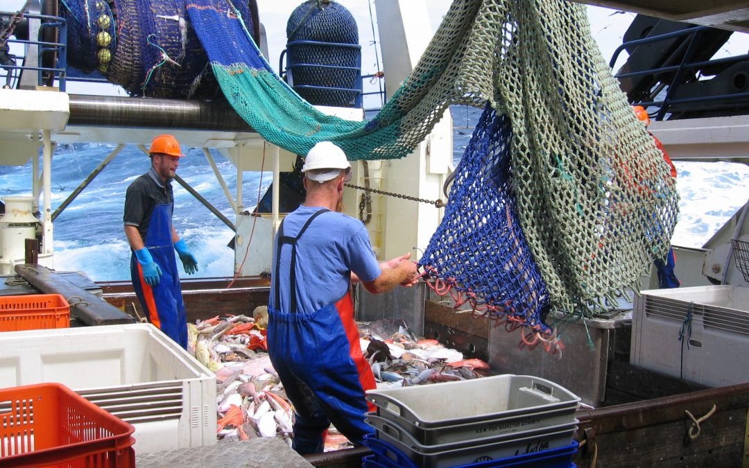 Resource Survey of the Great Australian Bight Trawl Sector