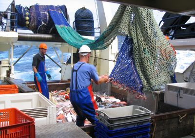 Resource Survey of the Great Australian Bight Trawl Sector