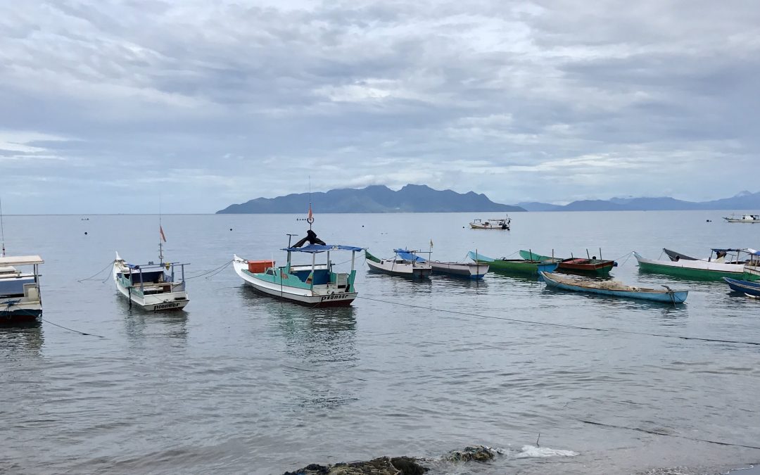 Indonesian fishery training and development