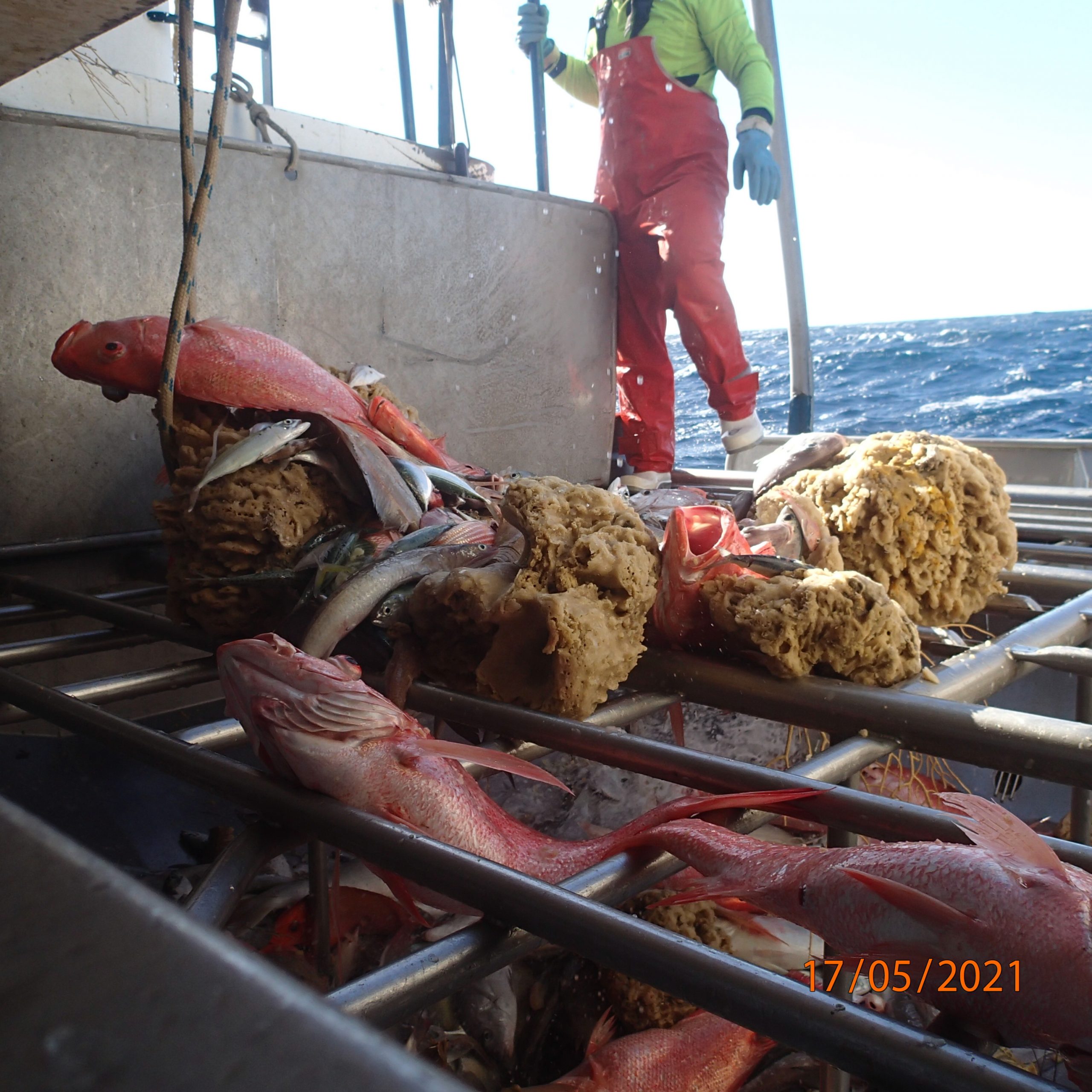 Sorting grill of a northern fisheries trawler