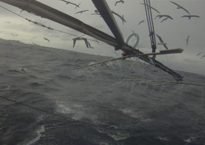 Bird mitigation in the SESSF trawl sector