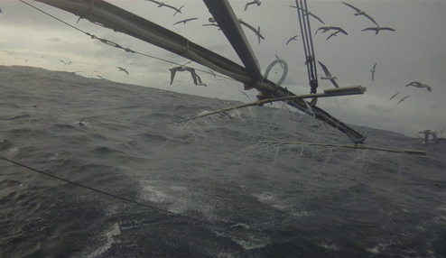Bird mitigation in the SESSF trawl sector